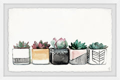 Succulent Quintet