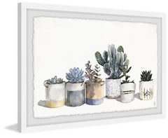 Pots of Pricklies