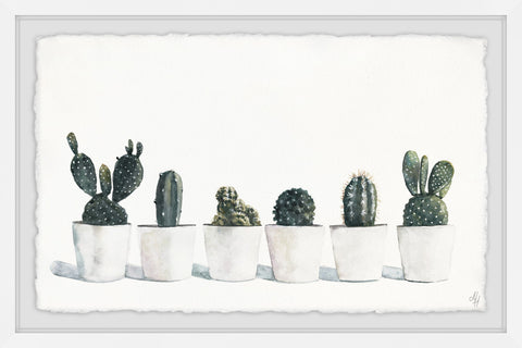 Prickly Sextet