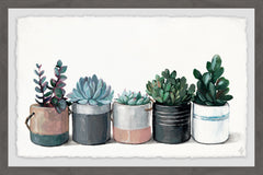 Mixed Family