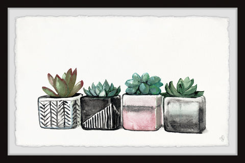 Succulent Party II