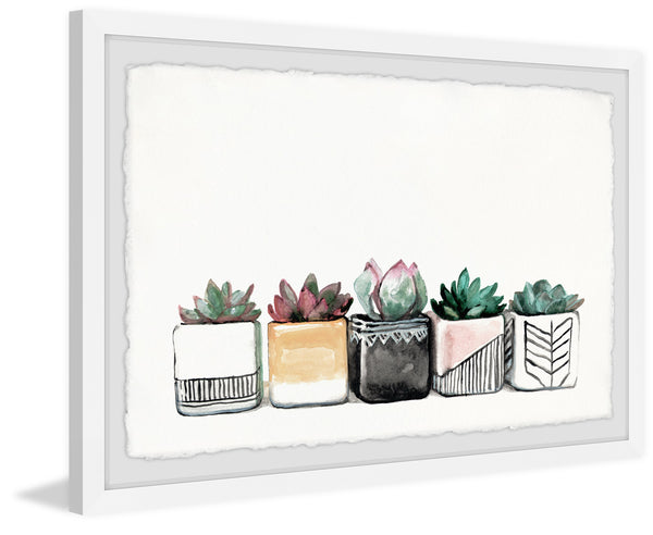 marmont hill succulent Succulent Quintet II – Marmont Hill