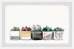 Succulent Quintet II
