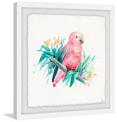 Pajaro Rosado