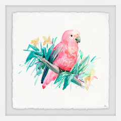 Pajaro Rosado