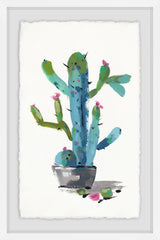 Little Blue Cactus