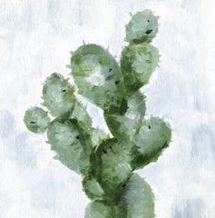 Abstract Cactus
