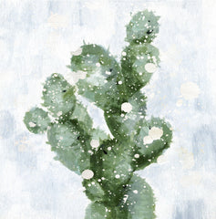 Cactus with Snow