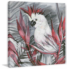 White Cockatoo I