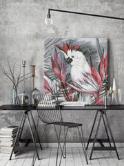 White Cockatoo I