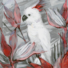 White Cockatoo II