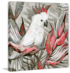 White Cockatoo III