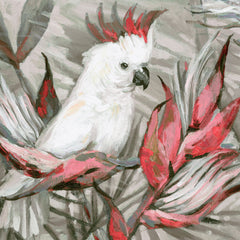 White Cockatoo III