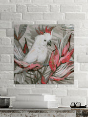White Cockatoo III