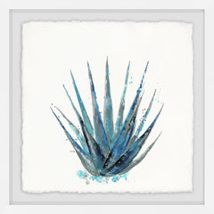Agave II