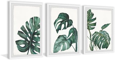 Palmera White Triptych