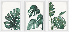 Palmera White Triptych