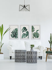 Palmera White Triptych