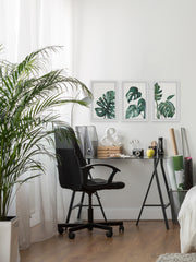 Palmera White Triptych