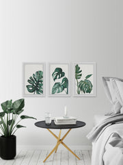 Palmera White Triptych