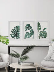 Palmera White Triptych