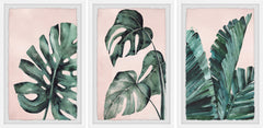 Palmera in Pink Triptych