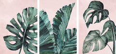 Tropical Leaves Triptych