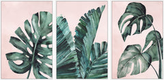 Tropical Leaves Triptych