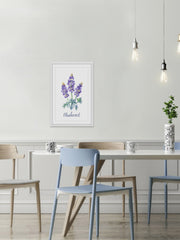 Bluebonnet