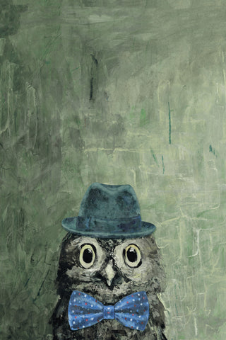 Mister Owly