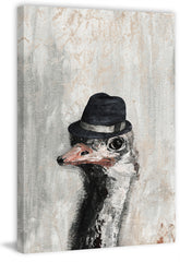 Mister Ostrich