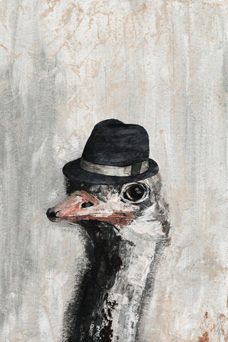 Mister Ostrich