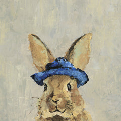 Blue Hat Rabbit