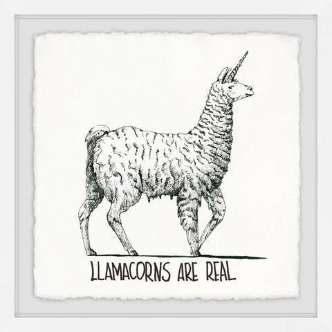 Llamacorns Are Real