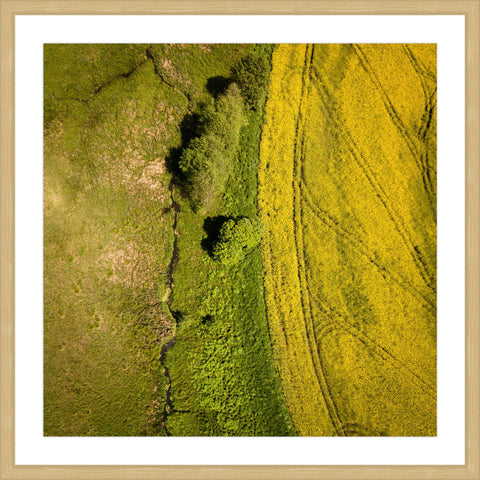 Green Land