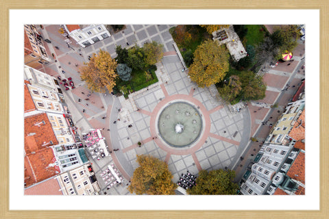 Quad View