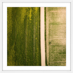 Farm Road