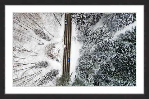 Frozen Trees