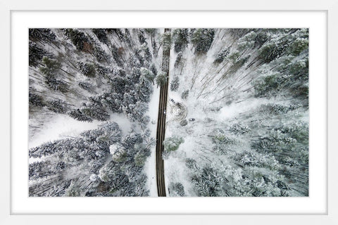 Amid the Cold