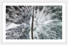 Amid the Cold