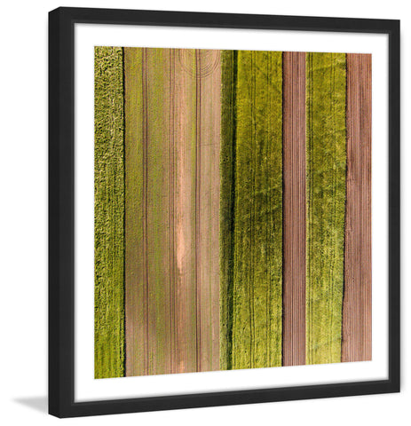 Crop Rows