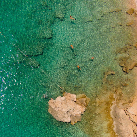 Green Waves