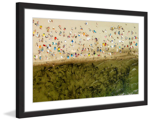Seaweed