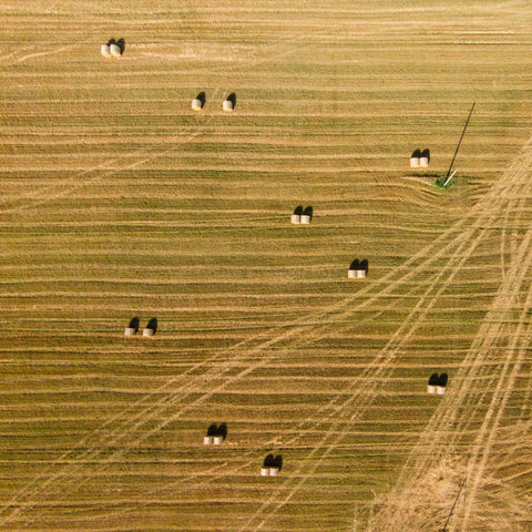 Tractor Trails
