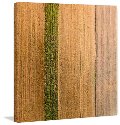 Seeded Land