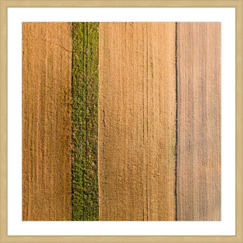 Seeded Land