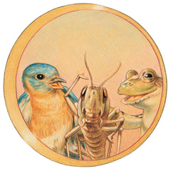 Bird, Cricket and Frog II