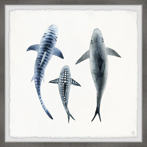 Patterned Sharks