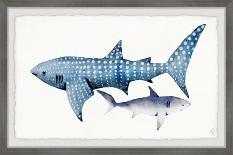 White Dotted Shark