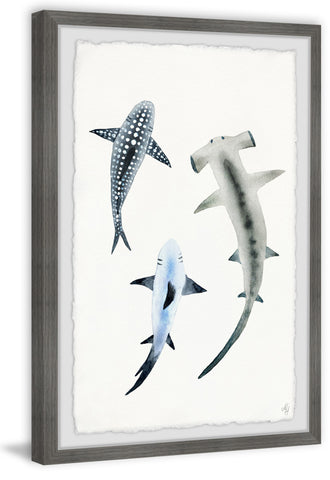 Shark Trio